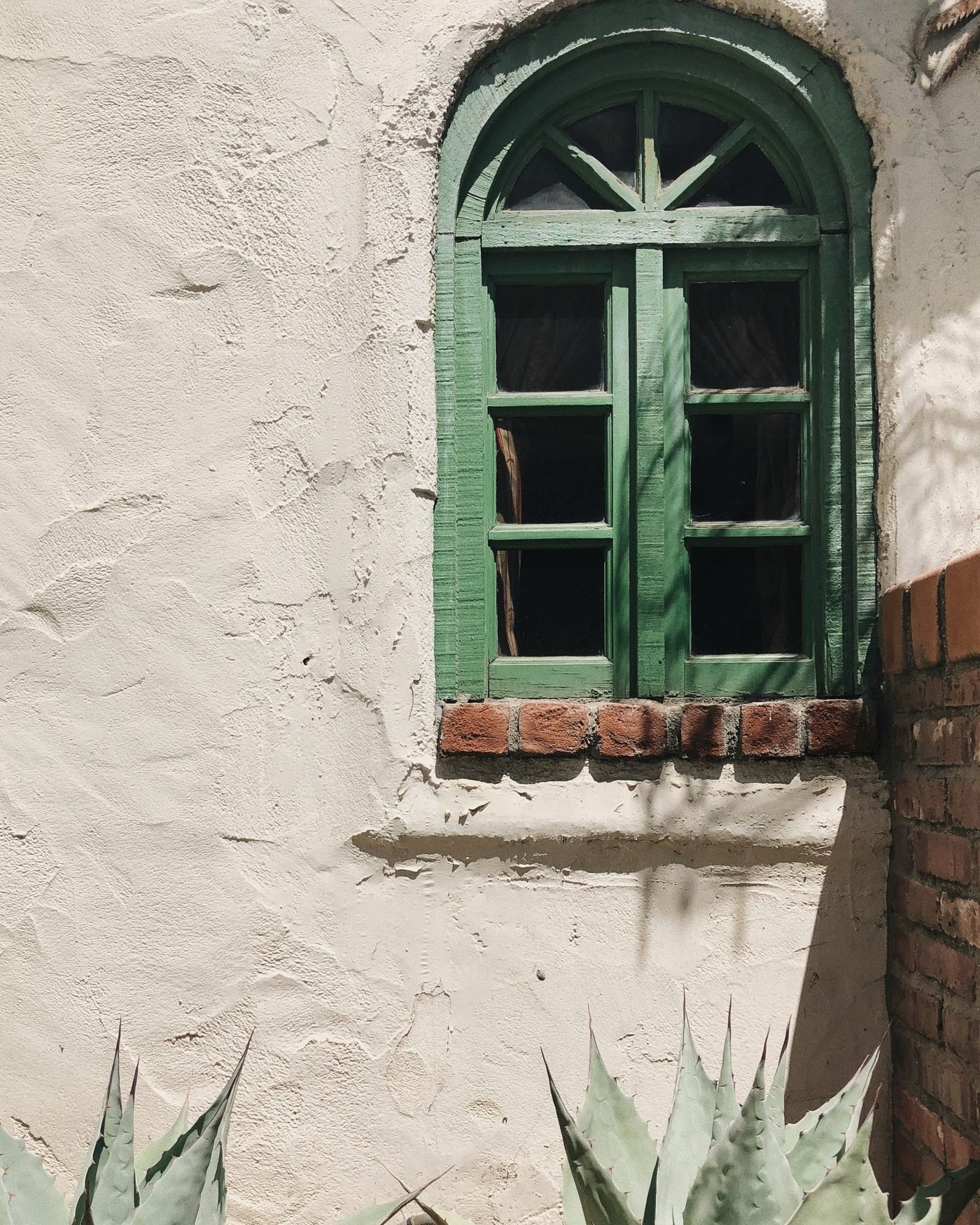 Green window in a white plaster wall with agaves below